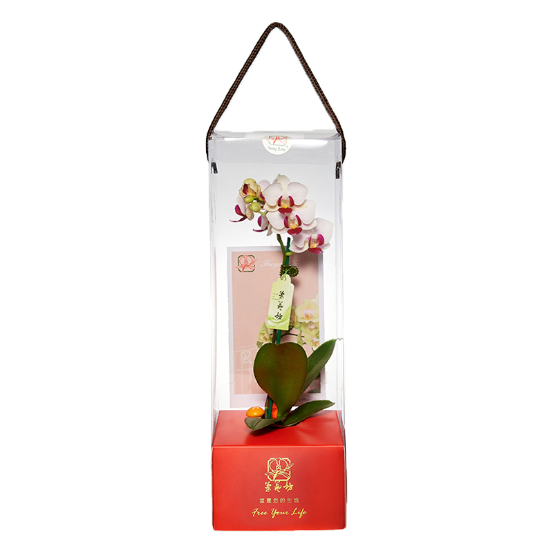 Orchid Gift Box, , large
