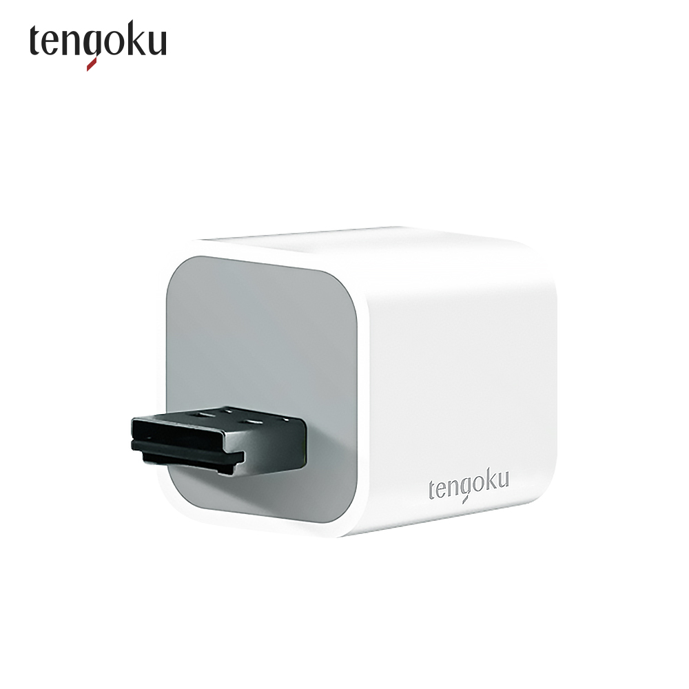 【tengoku天閤堀】USB-A手機高速備份豆腐頭 BP1, , large