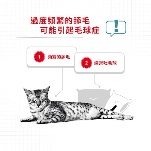 【拉拉寵物小舖】法國皇家 貓主食餐包 IH34W 有效化毛貓主食濕糧 貓主食濕糧, , large
