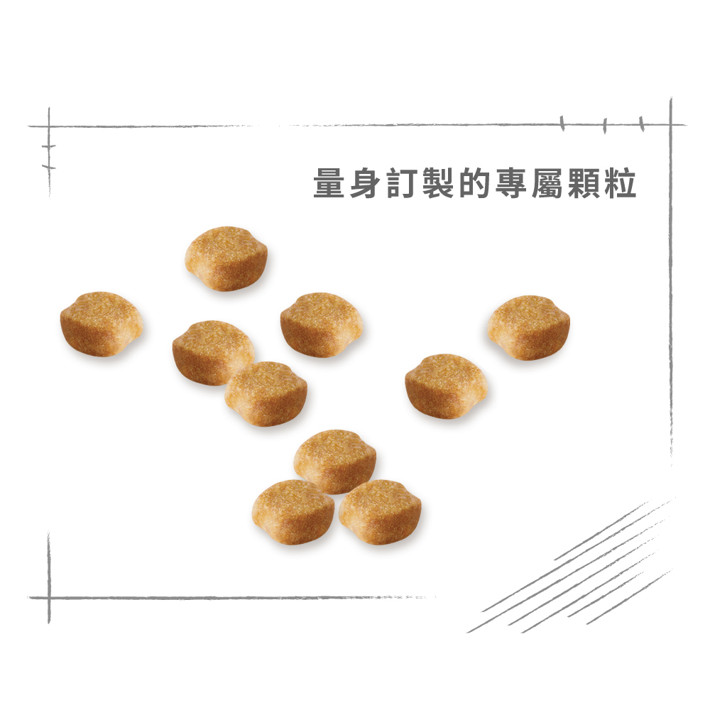 Royal Canin Yorkshire Terrier Adult YSA , , large