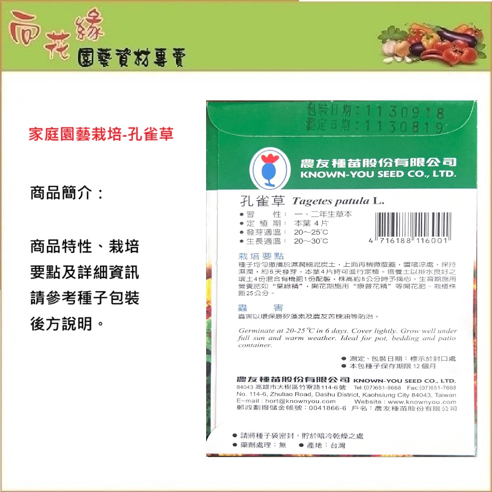 【向花緣】農友 孔雀草 - 花卉種子, , large