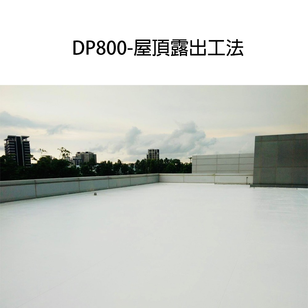 [樂施達]佐禾 邁克漏 水性防水抗熱塗料（DP800）, , large