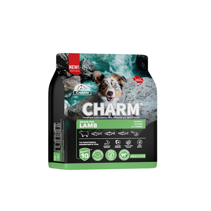 CHARM 野性魅力