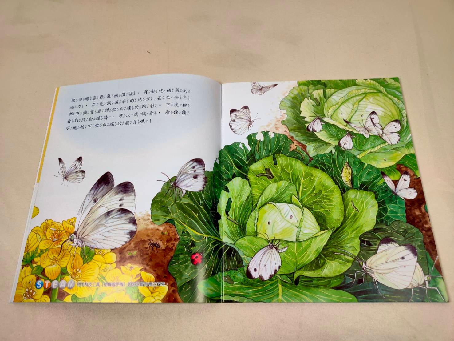 《南門書局》小小牛頓幼兒館 STEAM１＋２輯 共60本 單購書, , large