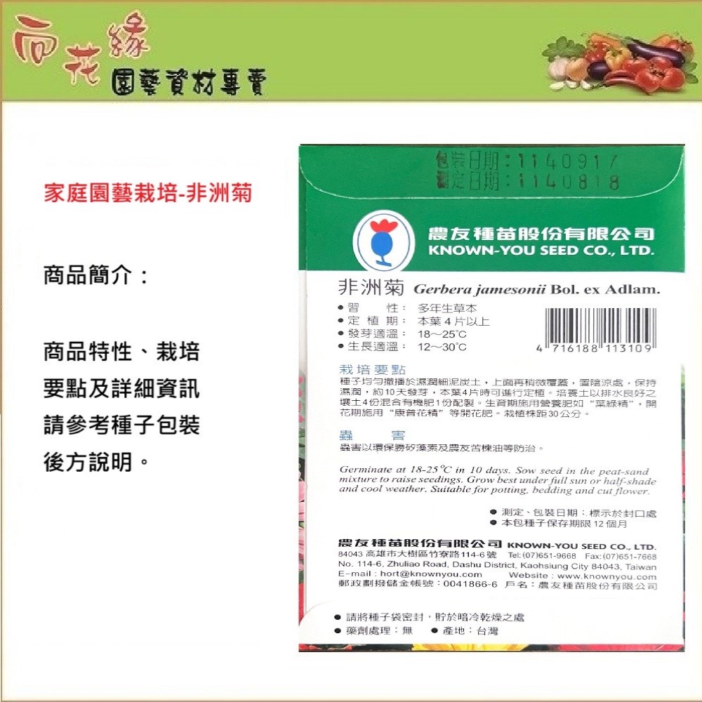 【向花緣】農友 非洲菊 - 花卉種子, , large