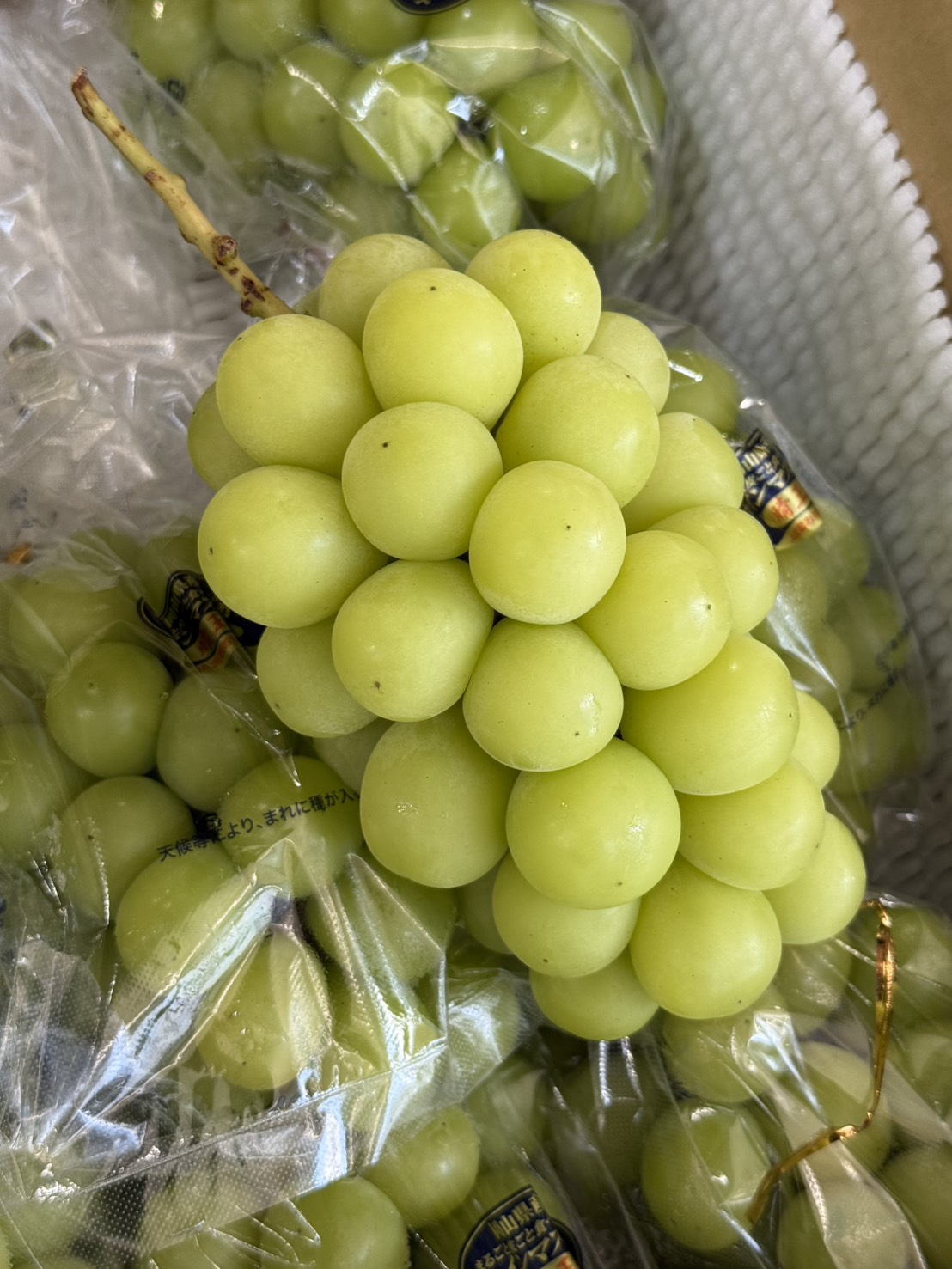 Japanese Shine Muscat Grapes, , large