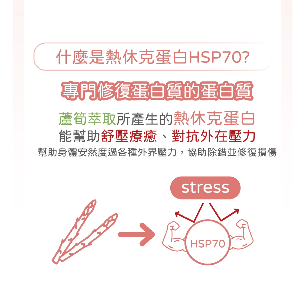 【虎揚】LIFE+ 貓紓壓膠囊 (30粒/盒) 寵物保健, , large