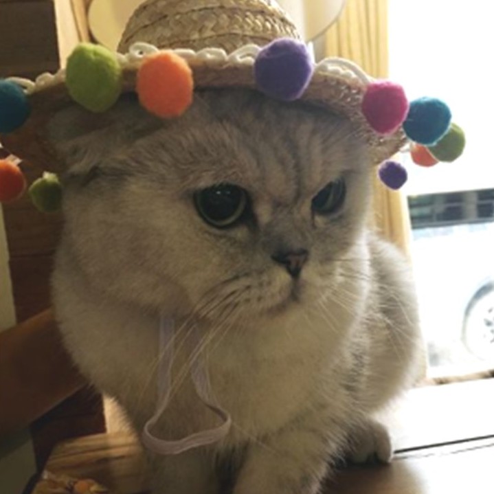 【寵愛生活本舖】寵物夏季彩色球球草帽 寵物帽子 狗帽子 貓帽子 寵物編織帽, , large