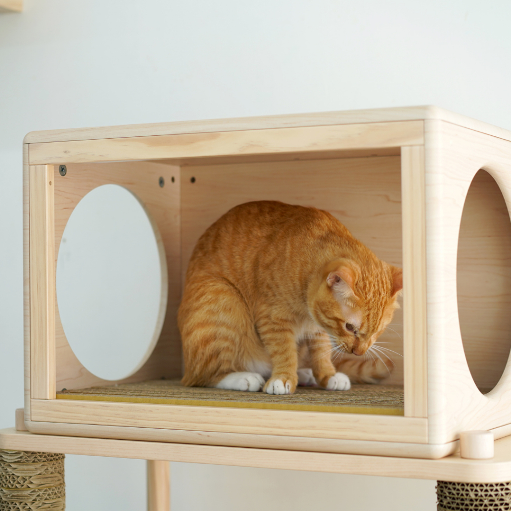 【paipaipets】Cat Scratcher Cardboard - 49, , large