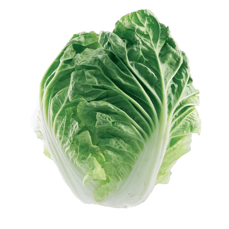 Chinese Cabbage(PC), , large