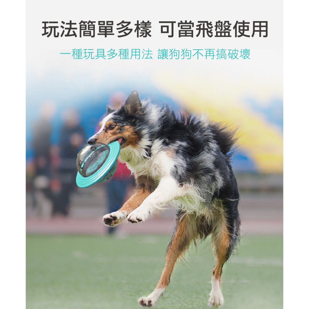 【P&H寵物家】狗狗不倒翁漏食餵食器 飛盤玩具(磨牙玩具 漏食玩具 寵物玩具 狗狗玩具), 湖藍色, large