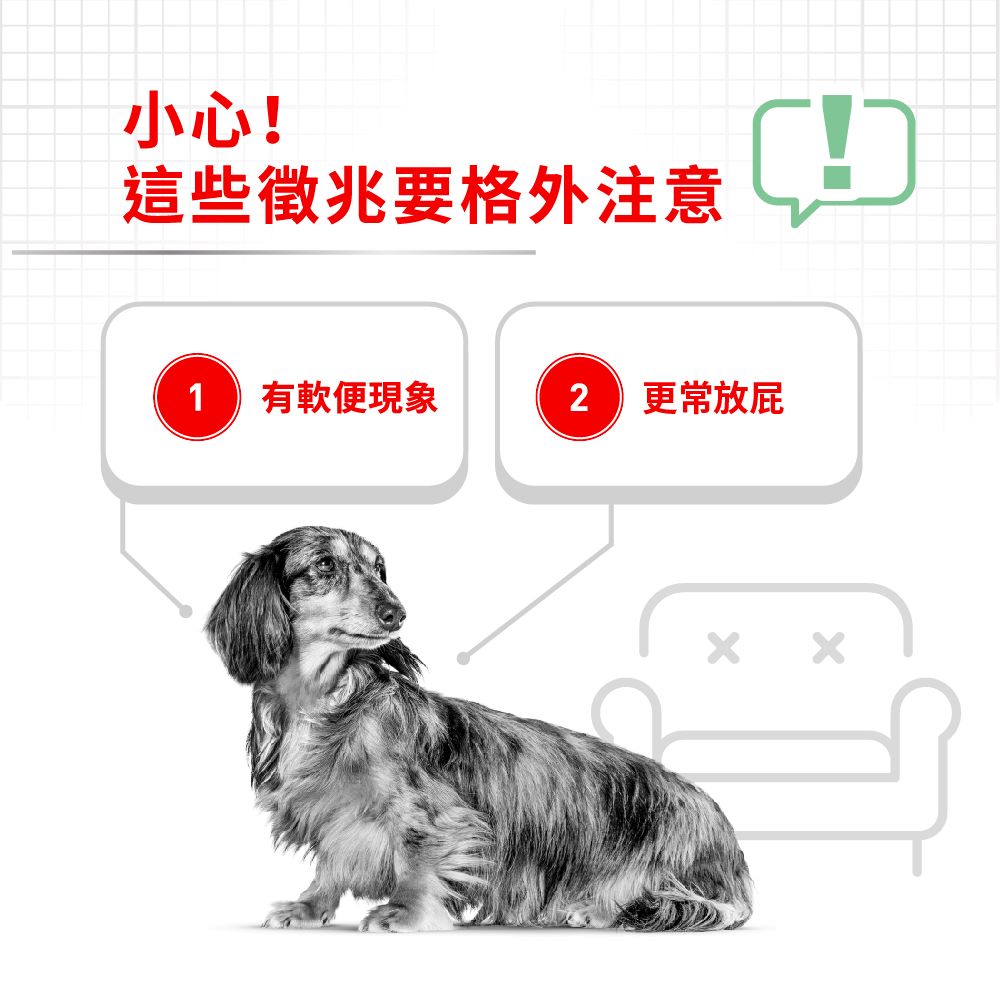 Royal Canin, , large