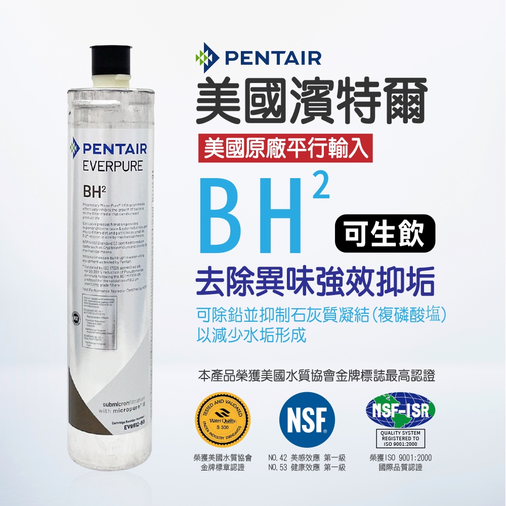 【麗水生活】EVERPURE 愛惠浦BH2 愛惠浦BH2濾心-美國原裝進口濾心 商業級抑垢家用濾芯, , large