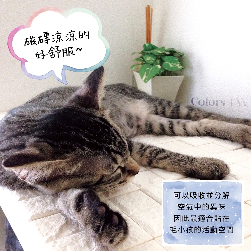 調節濕氣磚 10片1組 日本製 DIY 3M背膠磁磚 吸濕除臭 美濃燒 綠建材 呼吸磚 無毒 吸附甲醛, , large