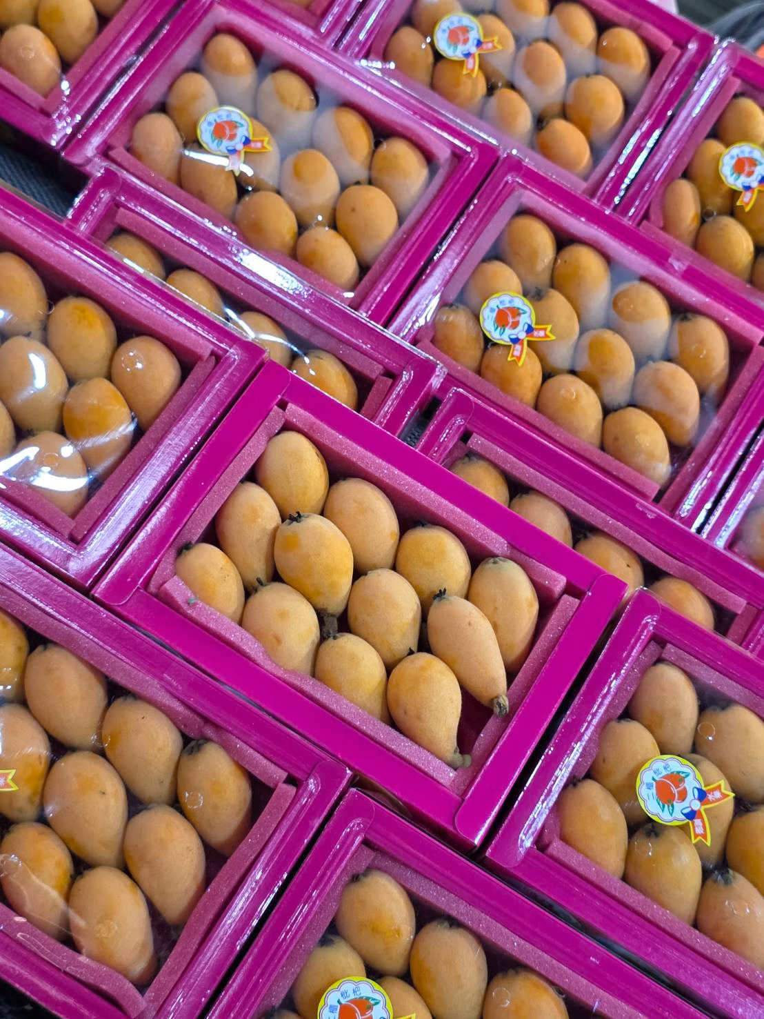 [芯鮮果]台灣嚴選( 枇杷 )