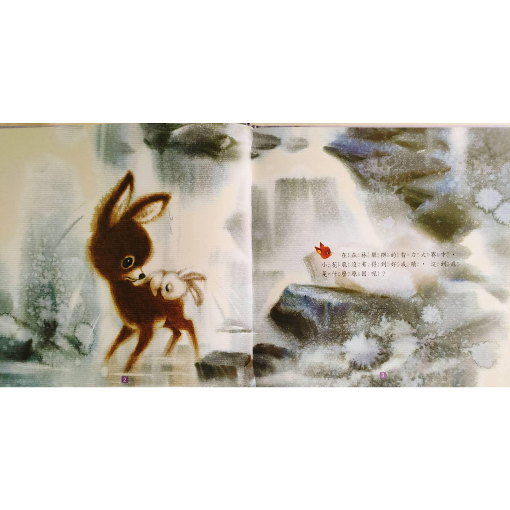 《南門書局》小動物成長繪本6冊, , large