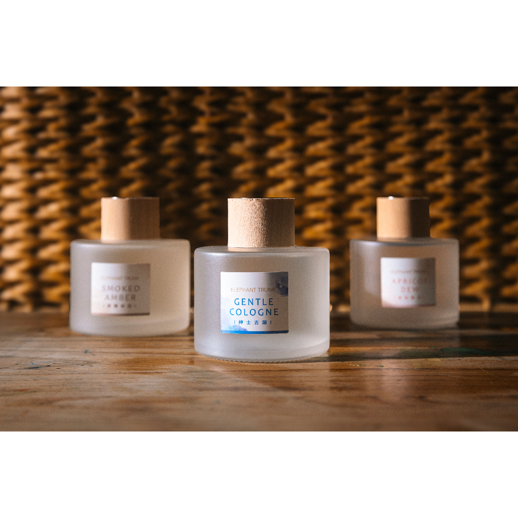 [冠岱]艾樂氛擴香瓶120ml 120毫升 擴香枝條 液體香薰 擴香棒 台灣製造, , large