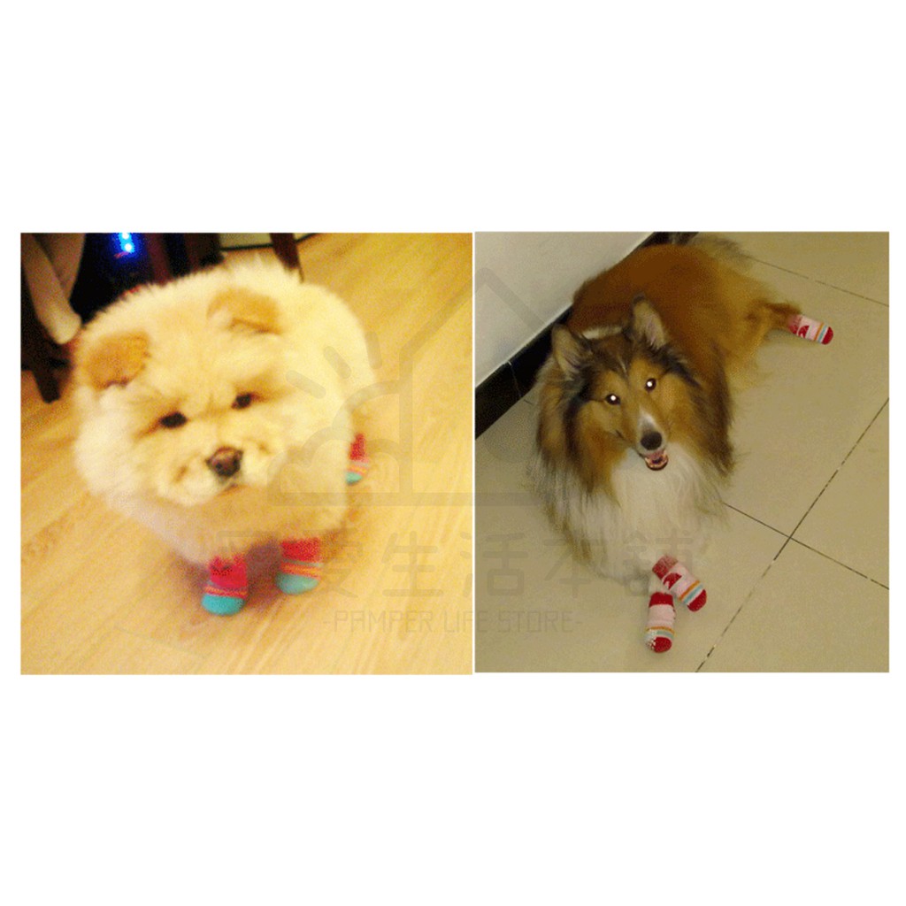 【寵愛生活本舖】中大型寵物專用可愛透氣棉襪 狗狗襪子 小狗襪 大狗襪, , large