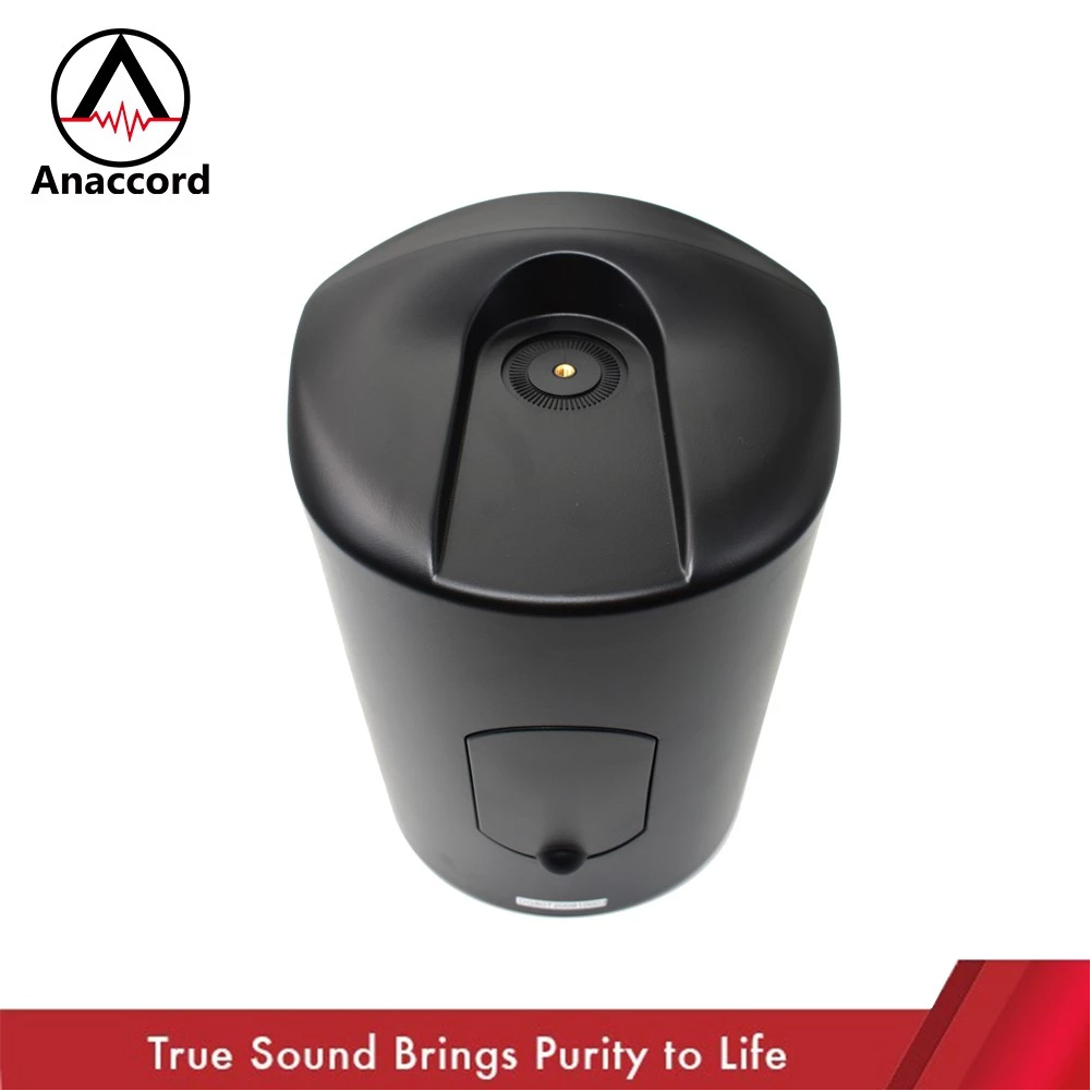 Anaccord 雅那歌音響 DG-80T 黑色 | IPX66 防水 8吋壁掛式 50W重低音喇叭 一對｜家樂福線上, , large