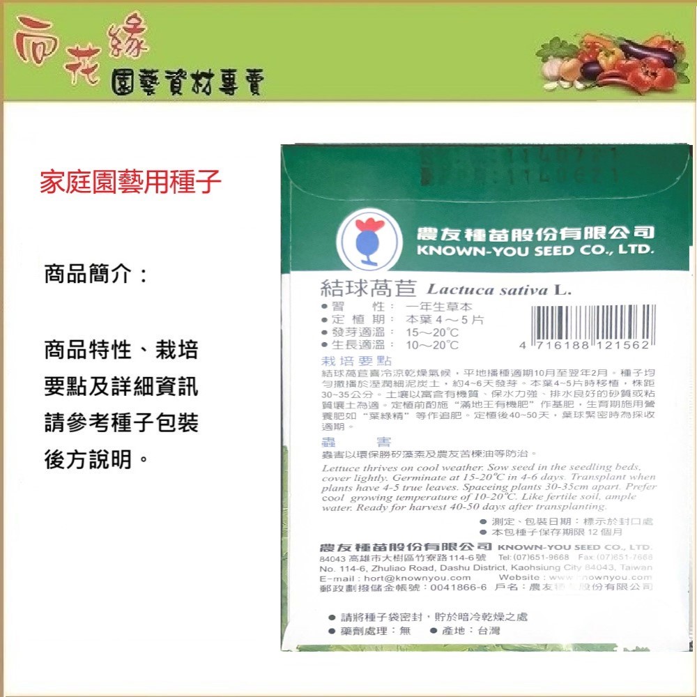 【向花緣】農友 結球萵苣 - 蔬菜種子, , large