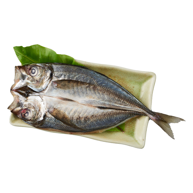 Horse Mackerel, , large