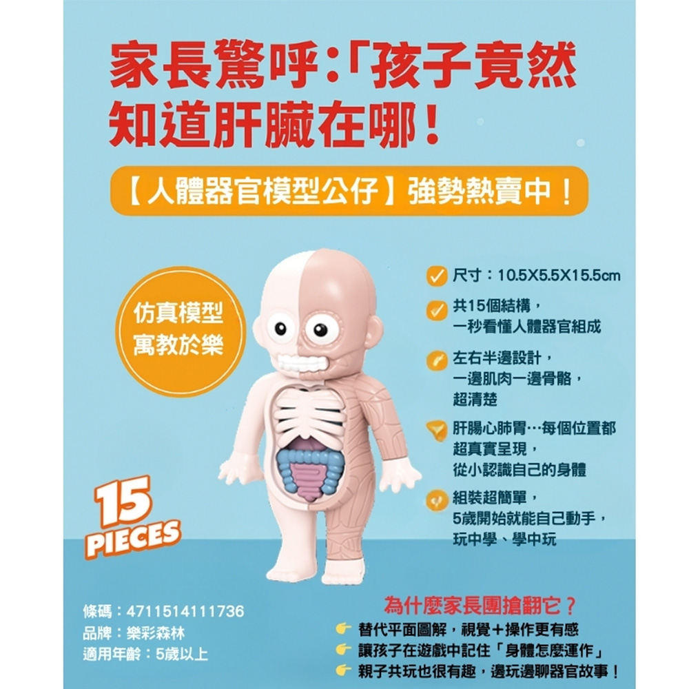 【啾愛你】兒童科教人體器官模型公仔, , large