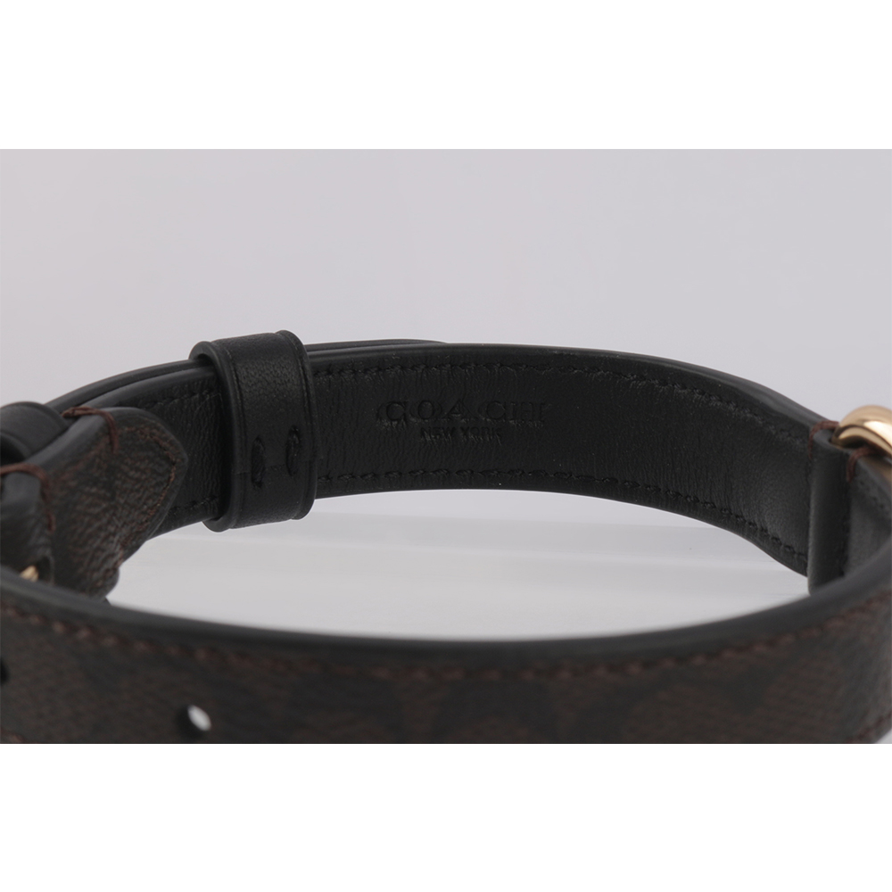 Pet collar, , large