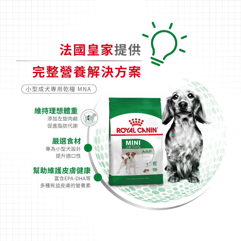 【Royal Canin法國皇家】小型成犬MNA, , large