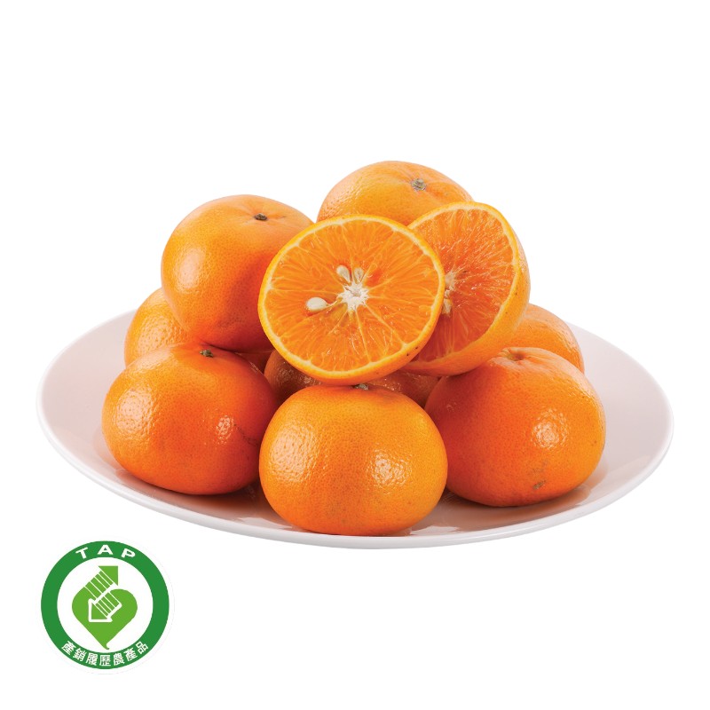 TAP Fremont Tangerine, , large