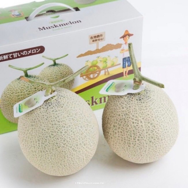 Taiwan Melon gift, , large