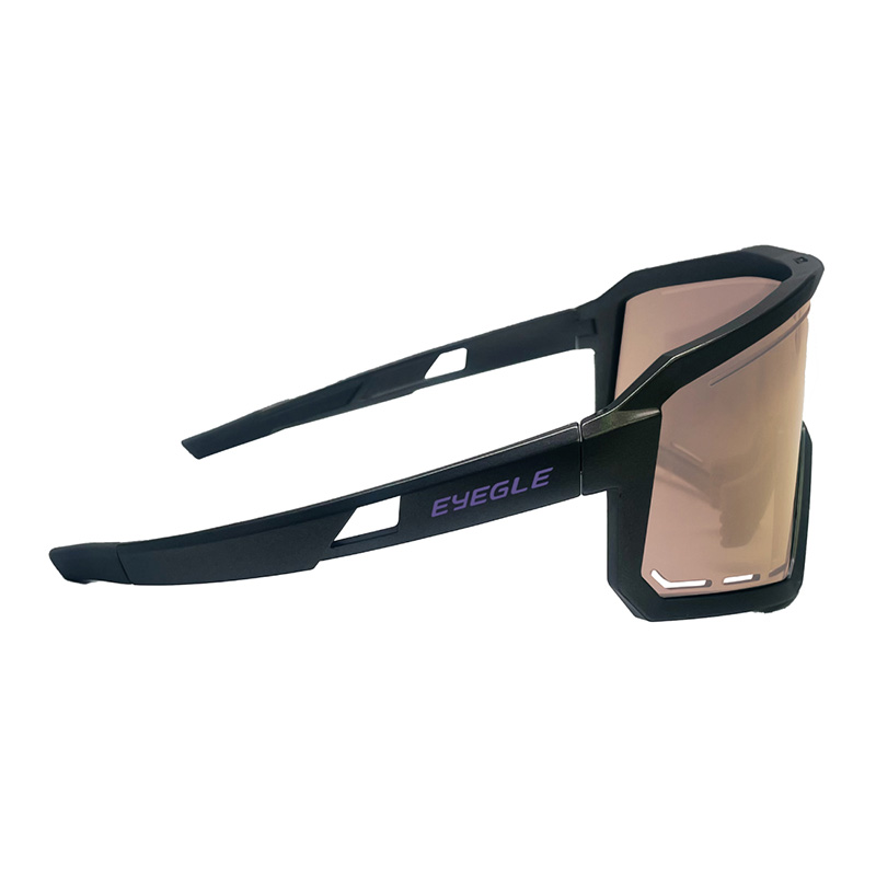 EYEGLE Viper Sunglasses EG-G009010 Grey, 高級灰, large