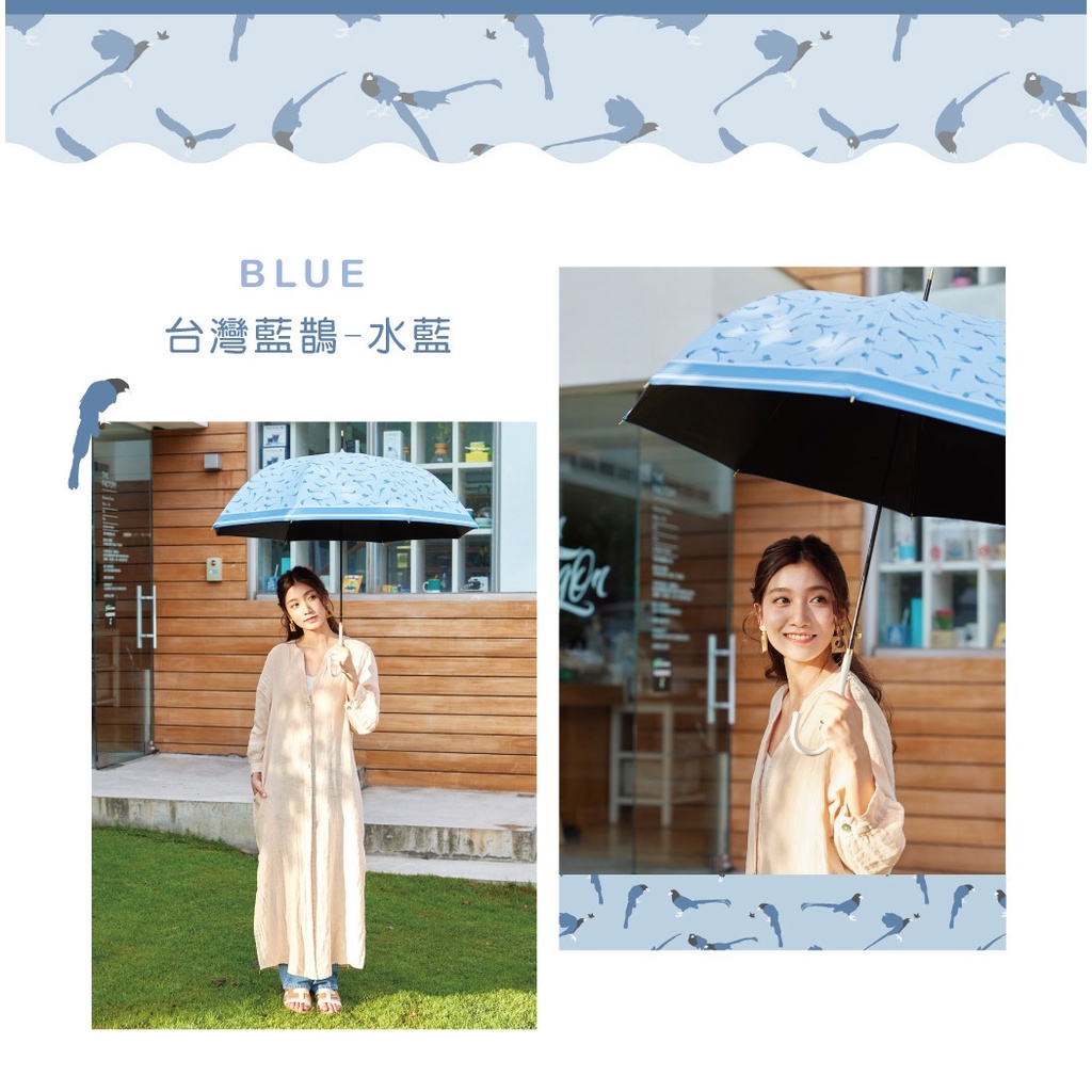 【周周生活】雨傘 現貨 自動傘 遮陽傘 陽傘 台灣藍鵲 直傘 晴雨傘 抗uv 傘 輕量雨傘 wpc傘 日本雨傘 快速出貨, , large