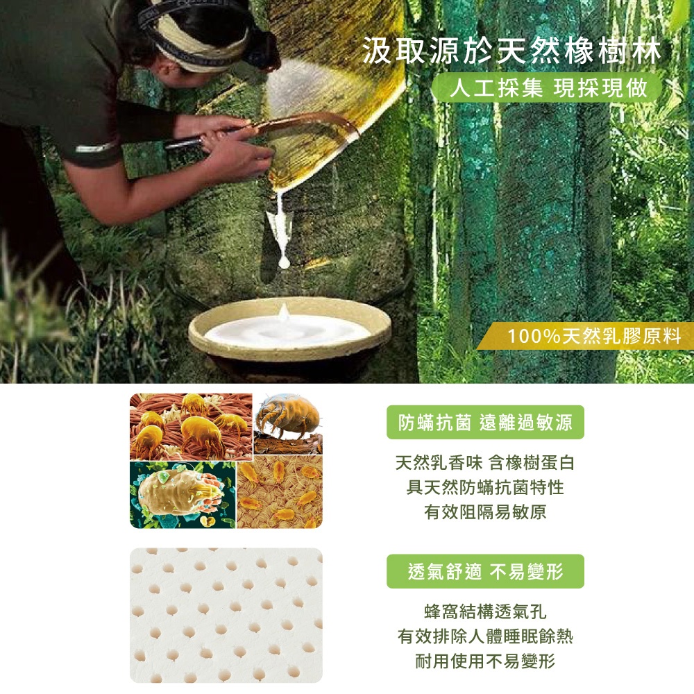 【Arnold Palmer雨傘牌】台製單人加大3.5尺5cm 防蟎抗菌 天然乳膠床墊, , large