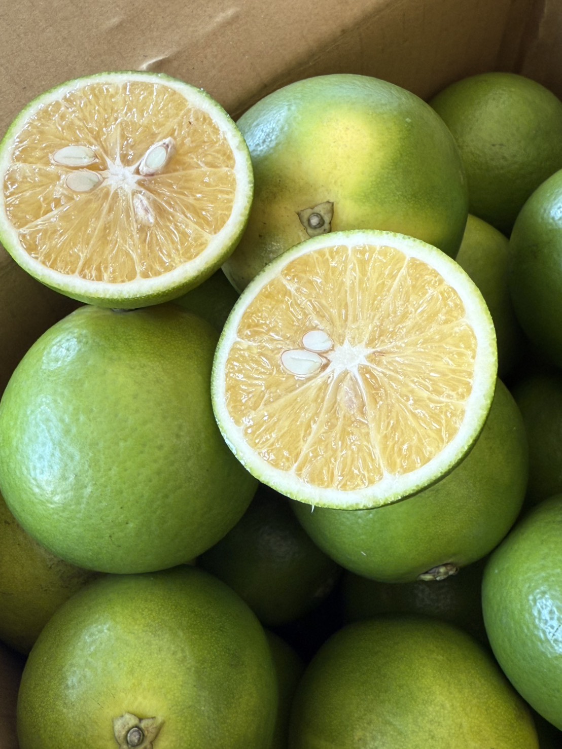 Sweet Orange, , large