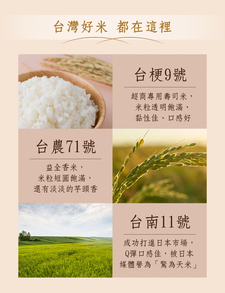 Cooked rice, , large