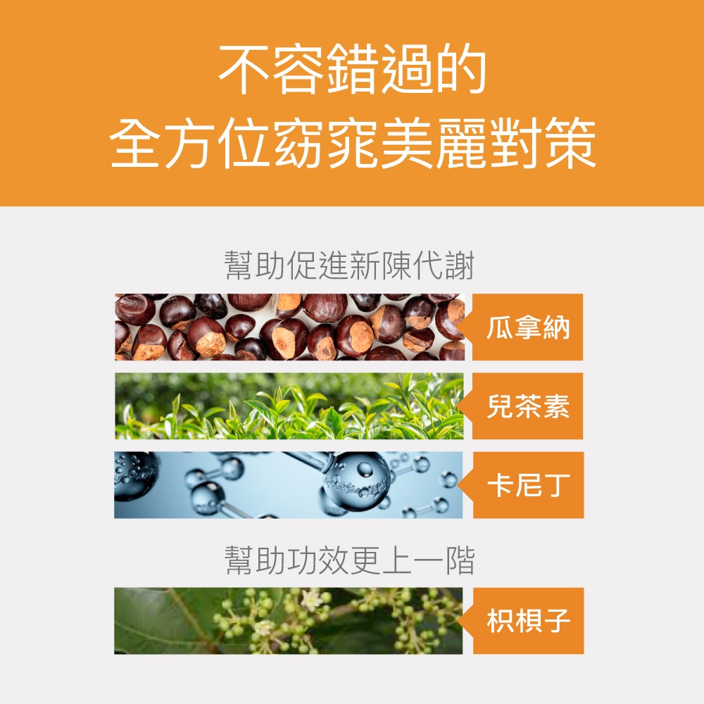 【FJ豐傑生醫】專利非洲芒果籽30顆/袋-頂尖非洲優質品種！幫助窈窕美麗x促進新陳代謝, , large