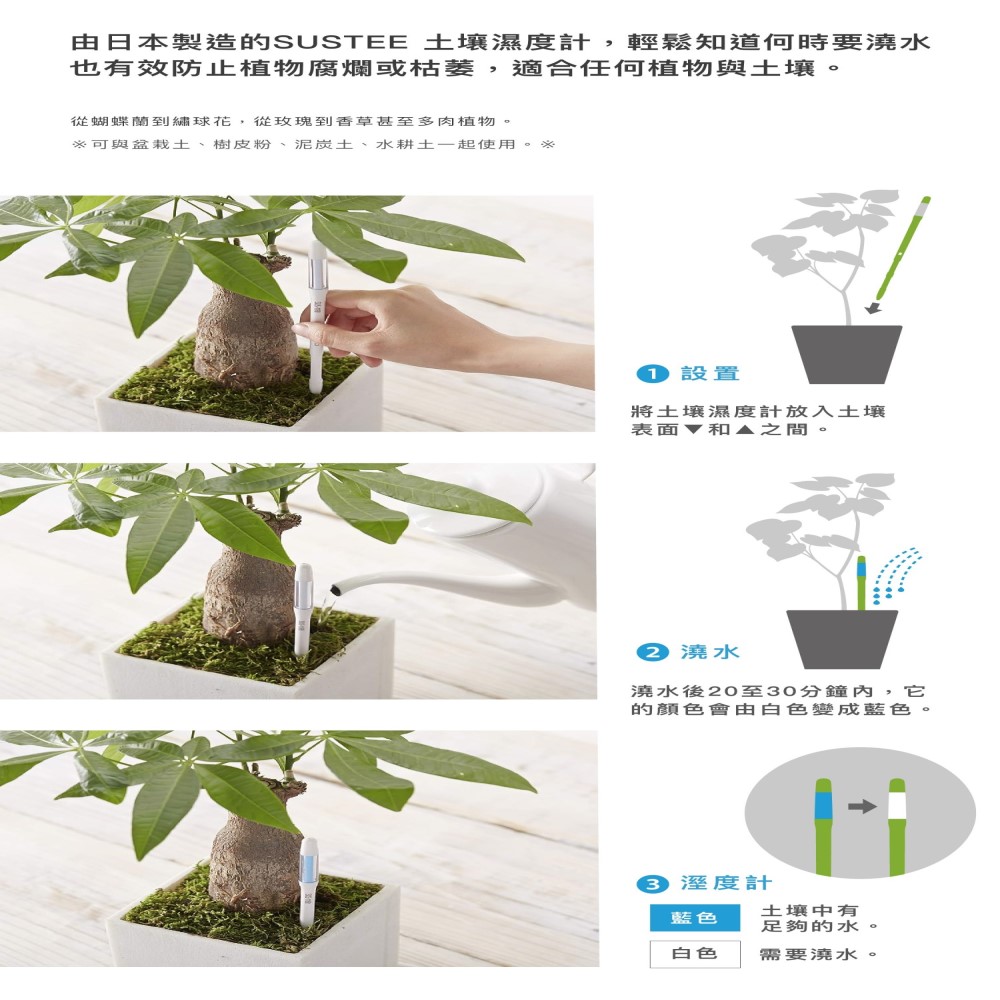 【向花緣】SUSTEE土壤濕度計 日本原裝進口(智慧型監測計、無須安裝電池)  綠色 - L, , large