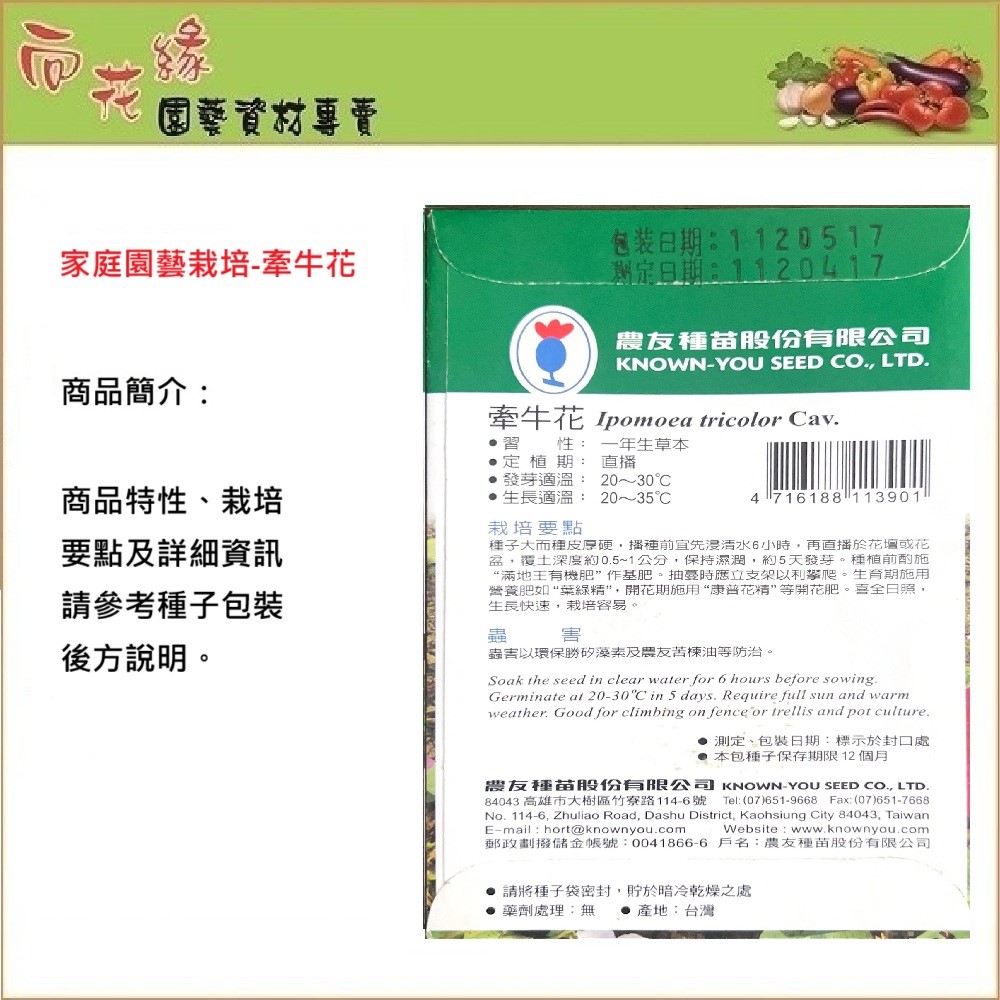 NonNongYou Morning Glory Flower SeedsgYou Coleus Flower Seeds, , large