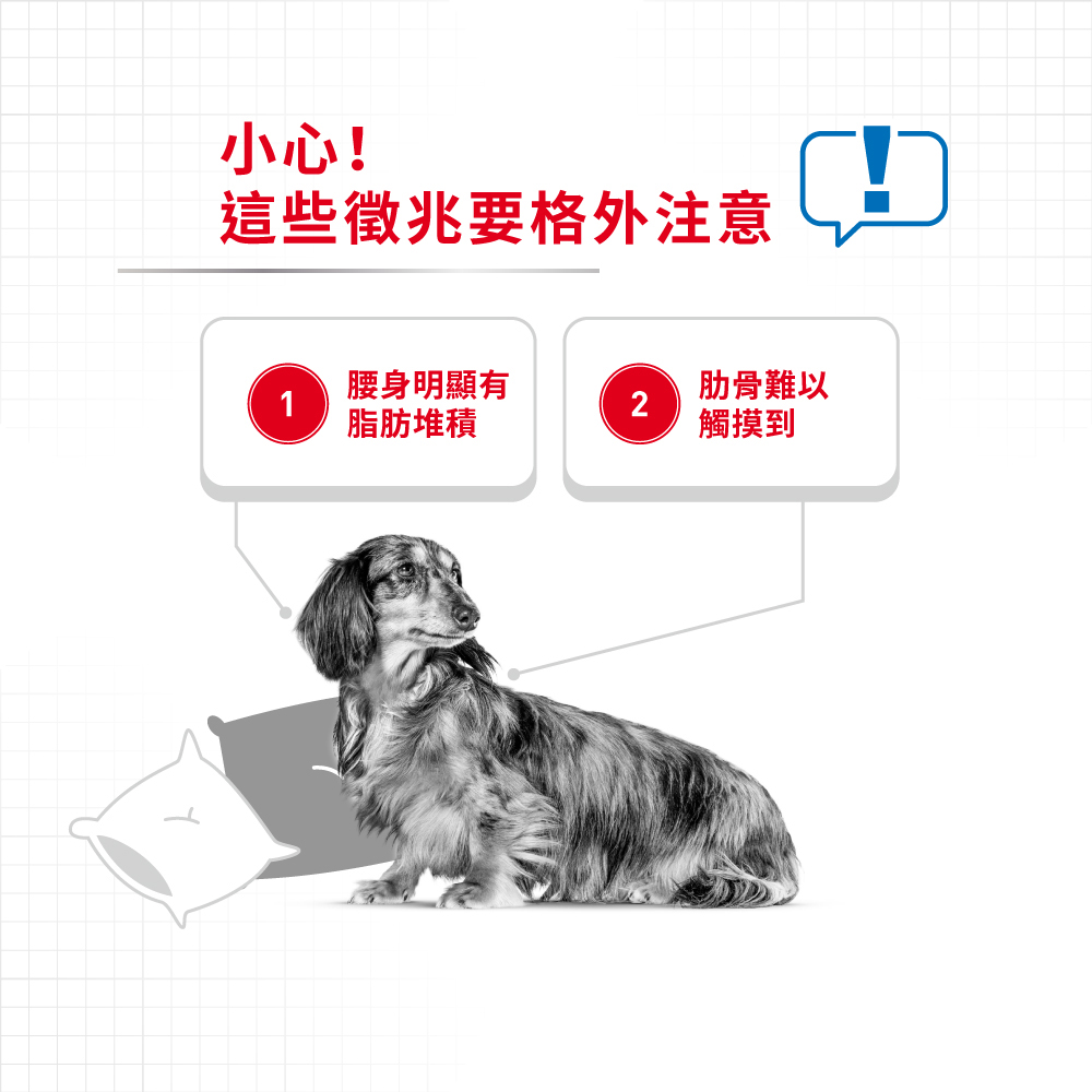 【Royal Canin法國皇家】體重控制小型成犬LWMN, , large