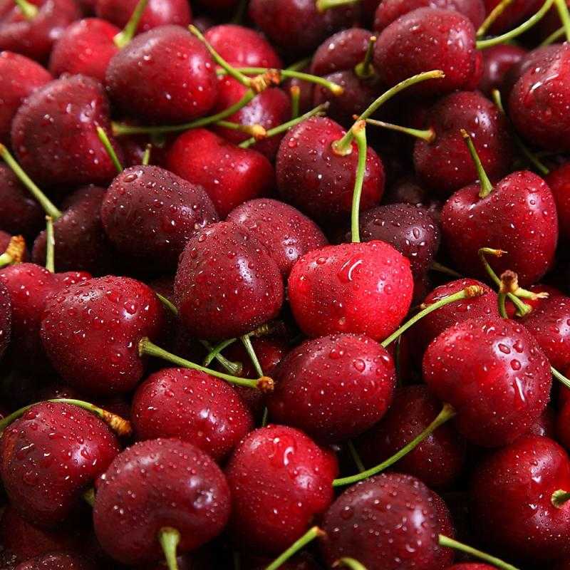 【一等鮮】智利9.5Row櫻桃原裝盒1盒附提袋(2.5公斤/盒〉(免運費), , large