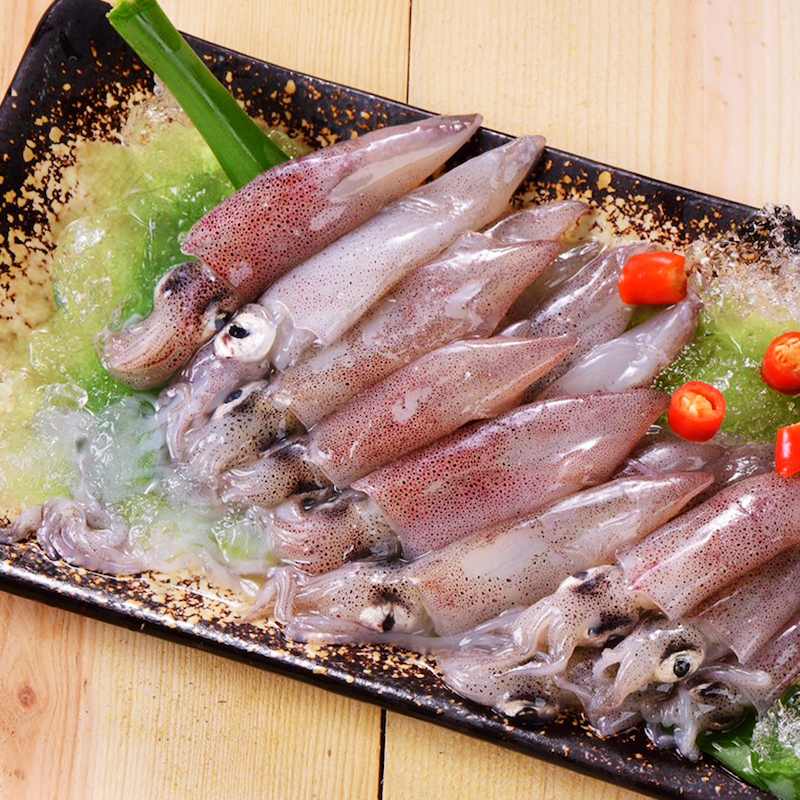 Neritic Squid, , large