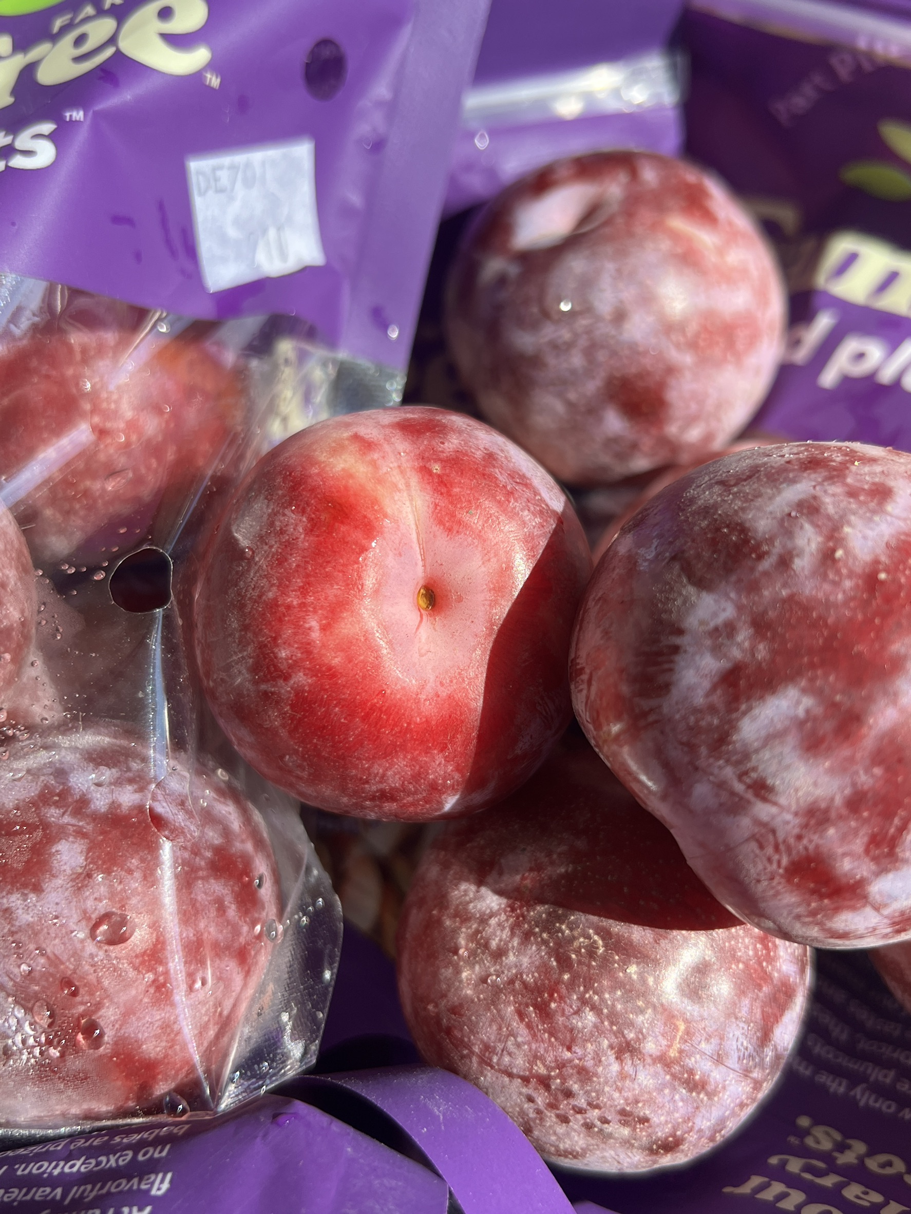 Sweetheart Plum, , large