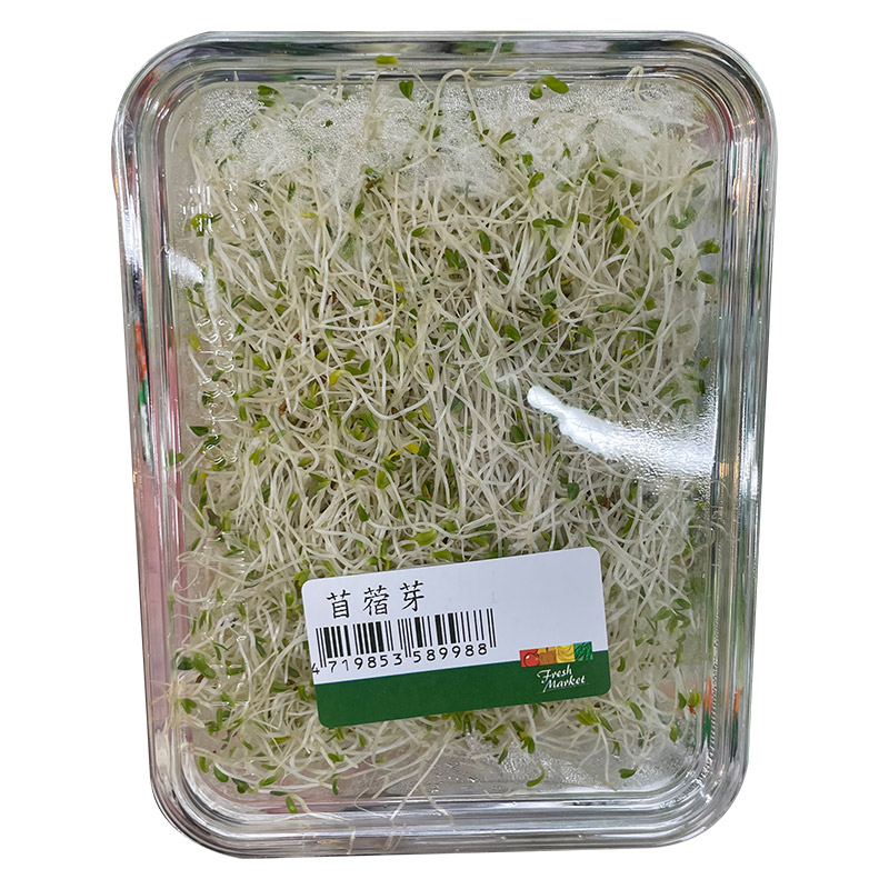 Alfalfa sprouts, , large