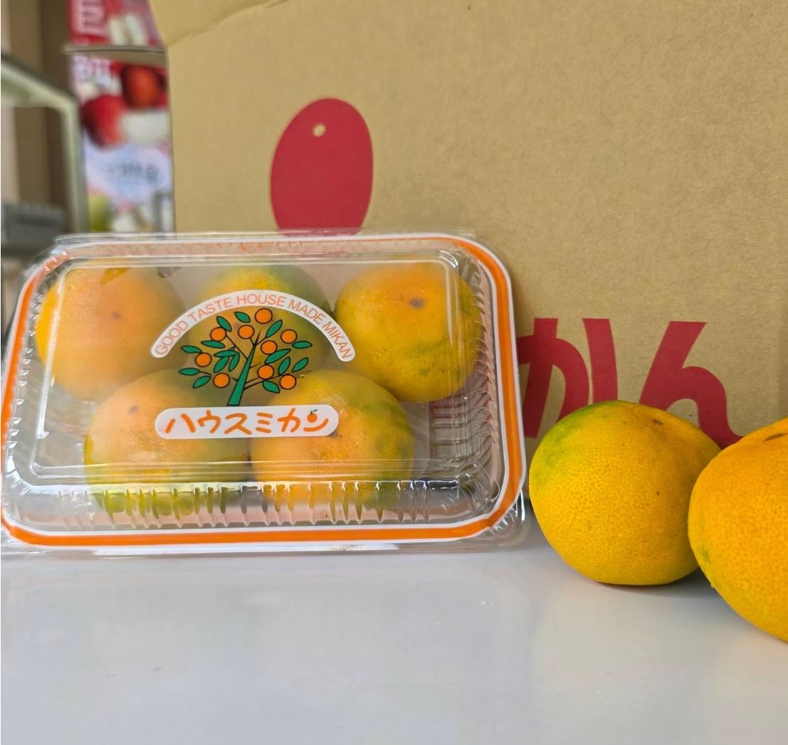 Japanese Air Freight Fukuoka Prefecture, , large