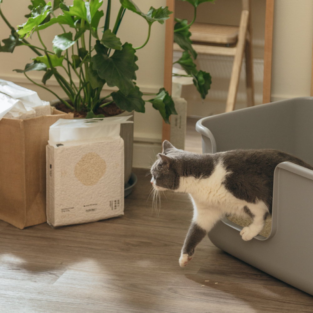 [Fore Wind]Meow-Servant SUPURE！Cat Tofu Litter 2.0mm x 6bags, , large
