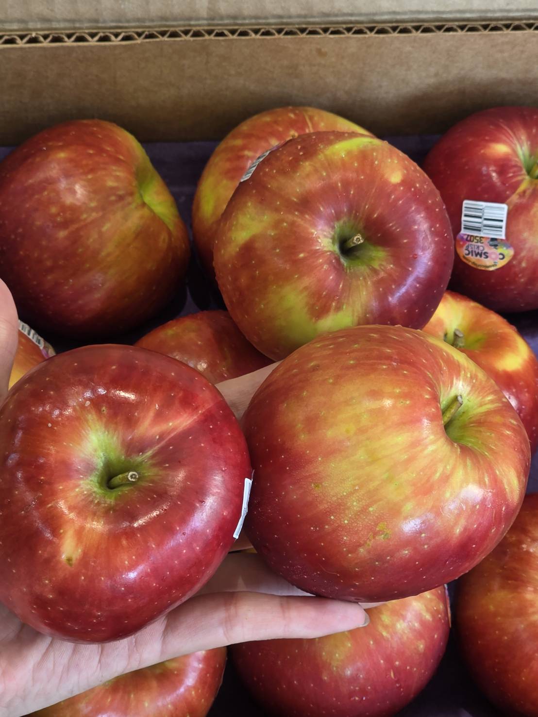 Honey Fuji Apple, , large