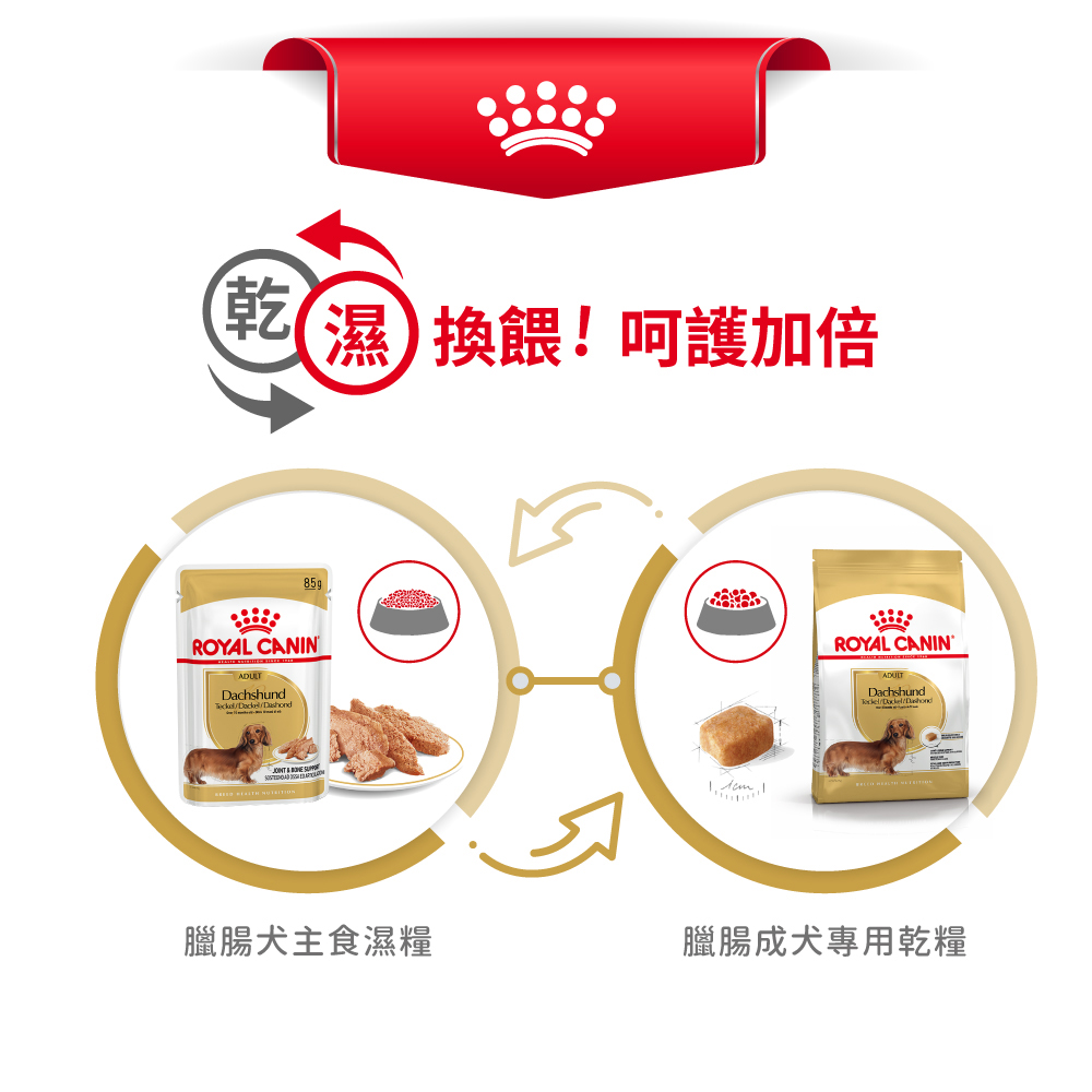 Royal Canin Dachshund Adult DSA, , large