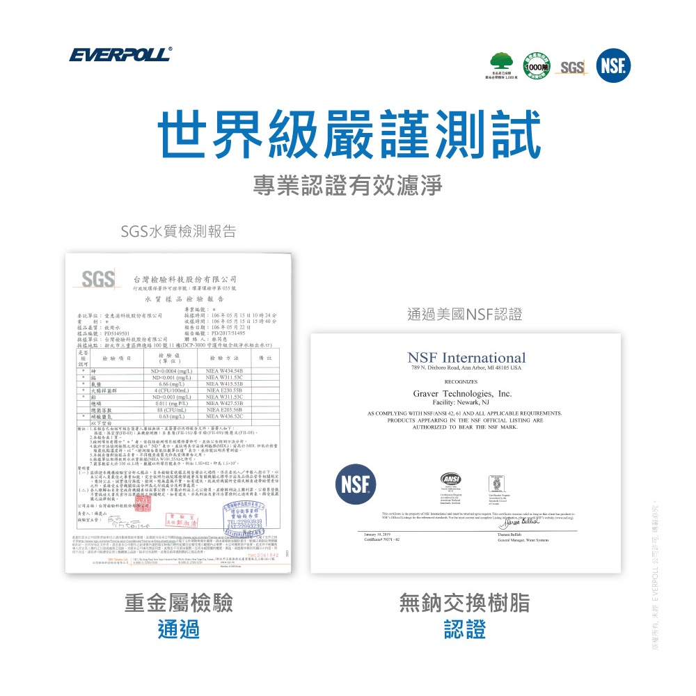 【麗水生活】愛科濾淨 EVERPOLL 雙道全效過濾器 DC-1000F DC-2000F(DCP-3000)公司貨, , large
