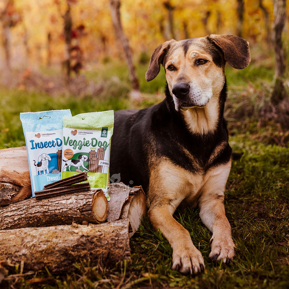 【倆寶貝精品館】Green Petfood德國綠自然 低敏昆蟲蛋白六星機能潔牙棒180gｘ2入《效期2026/06/19》, , large