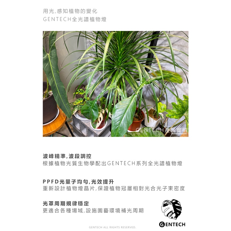 plant light, , large